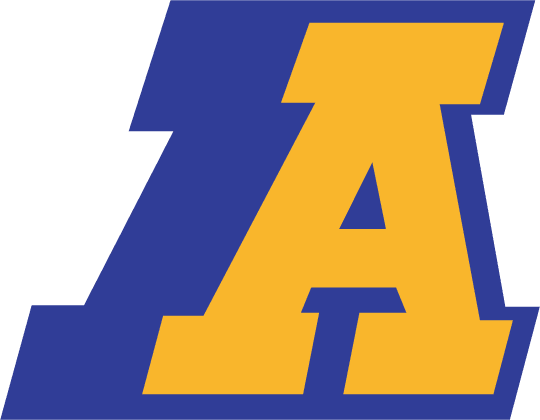 Akron Zips 1986-2001 Primary Logo diy DTF decal sticker